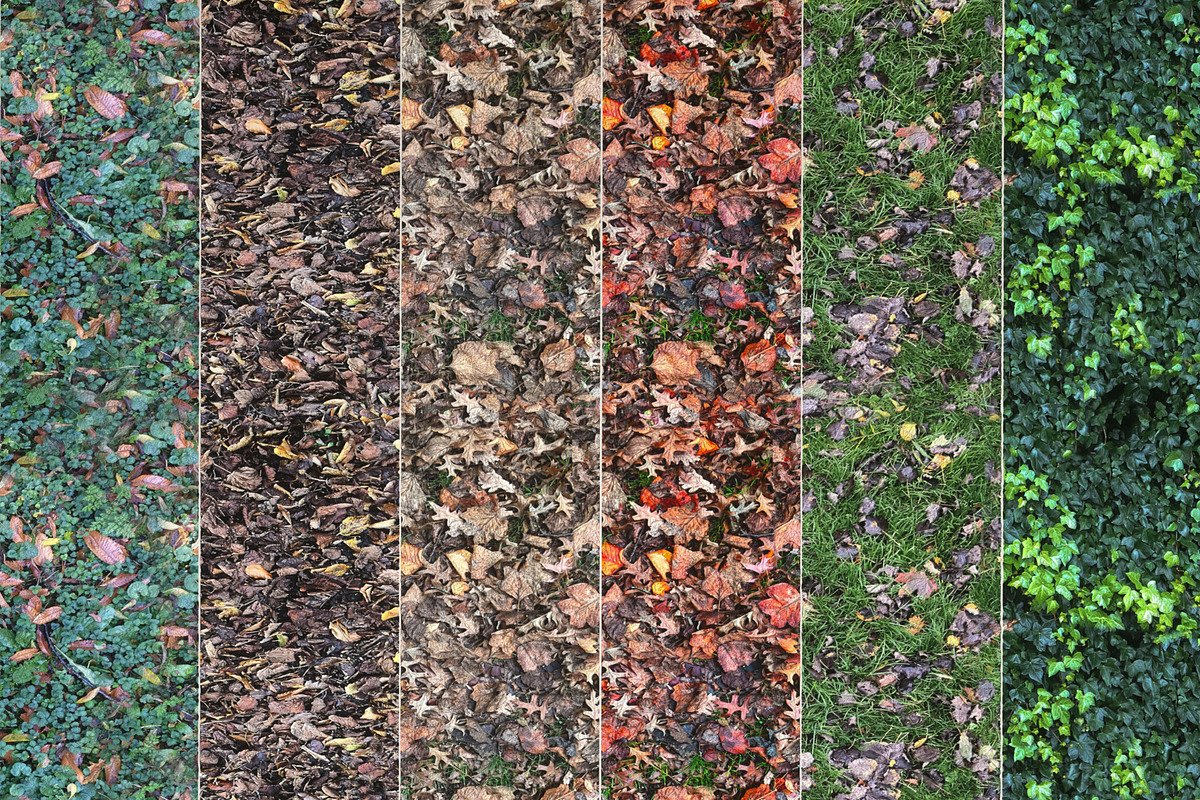 6 Seamless Leaf Material Textures  in Organic - product preview 8