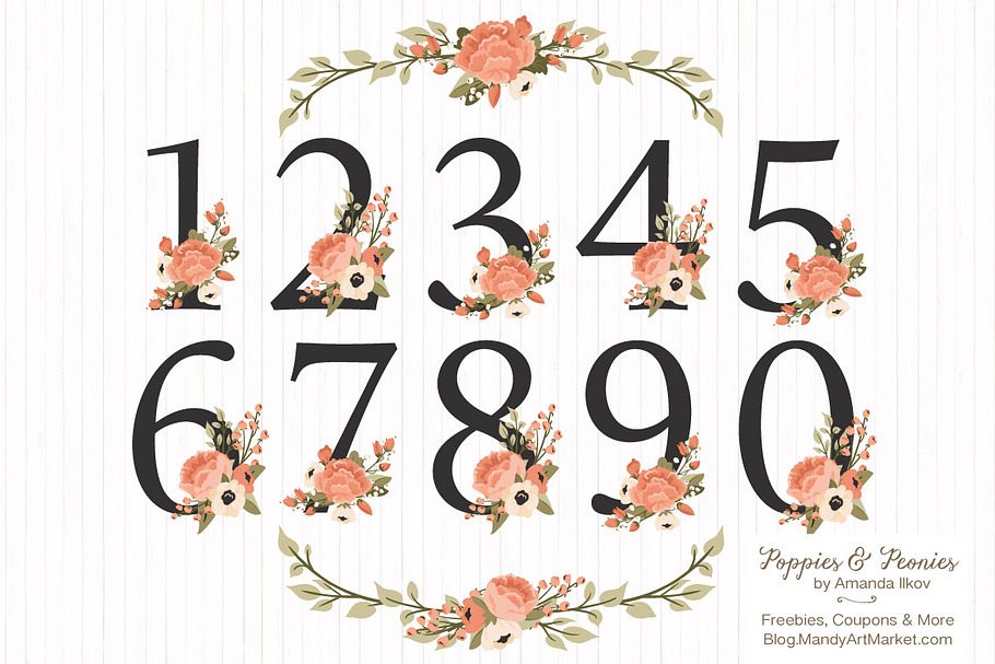 Peach Floral Numbers With Vectors
