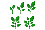 Phases Plant Growing Set