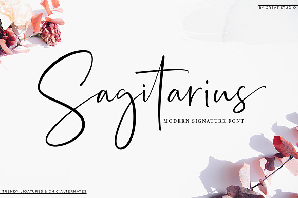 Sagitarius Signature Font in Signature Fonts - product preview 14