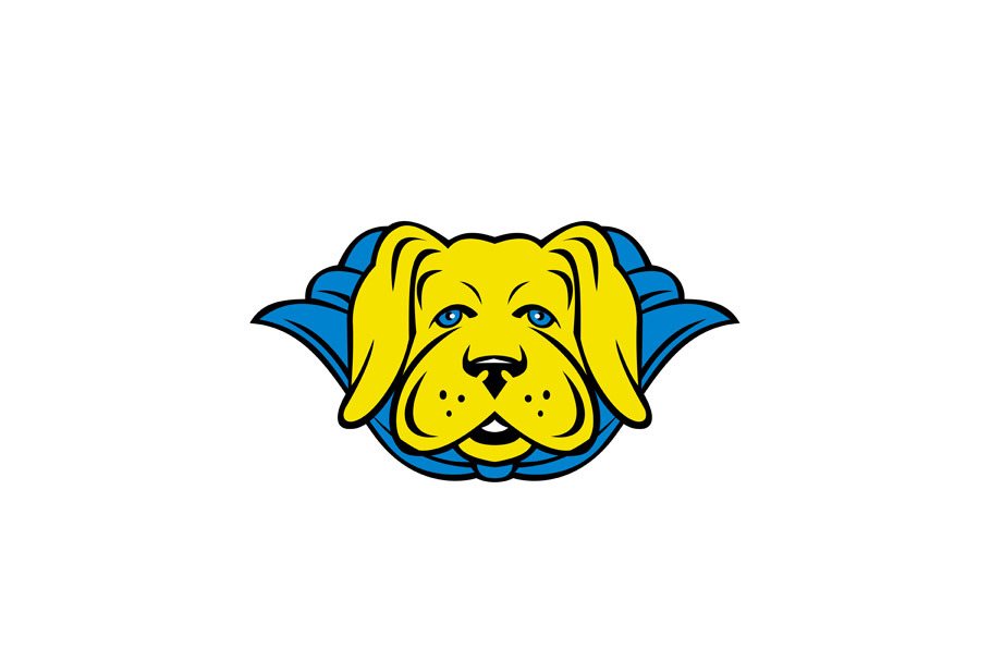 Super Yellow Lab Dog Wearing Blue Ca