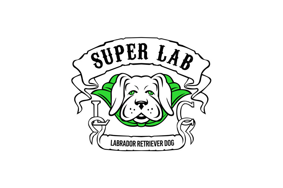 Super Labrador Retriever Dog Wearing
