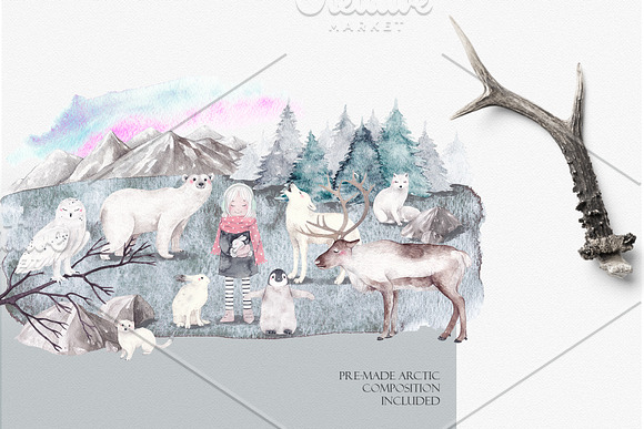 ARCTIC ANIMALS watercolor set PART 1 in Illustrations - product preview 5