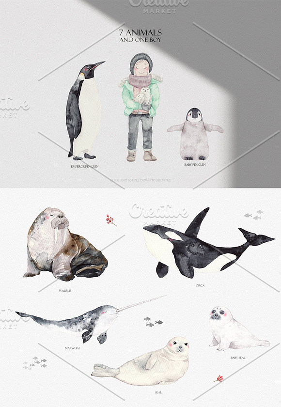 ARCTIC ANIMALS watercolor set PART 2 in Illustrations - product preview 1