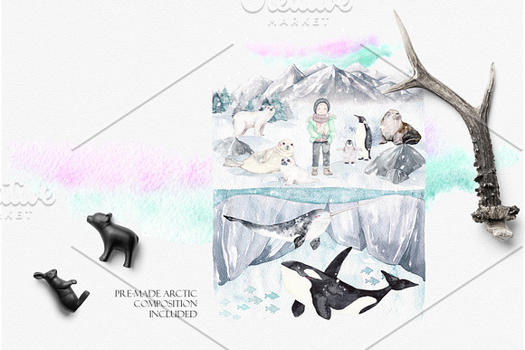 ARCTIC ANIMALS watercolor set PART 2 in Illustrations - product preview 5