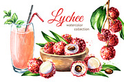 Lychee. Watercolor collection