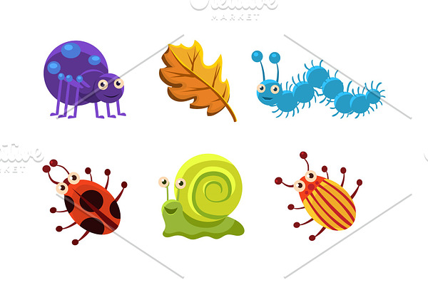 Flat vector set of insect and