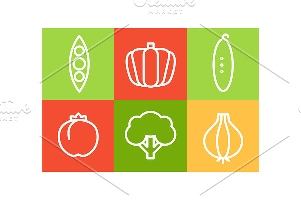 Vector set of vegetables in linear