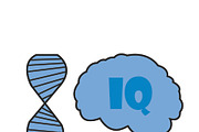 iq illustration by dna and brain
