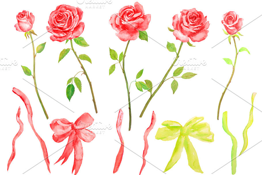Watercolor Red Roses with Stems