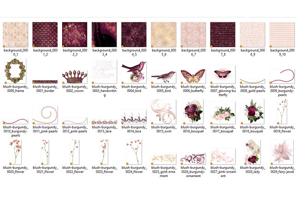 Blush & Burgundy Graphics in Illustrations - product preview 2