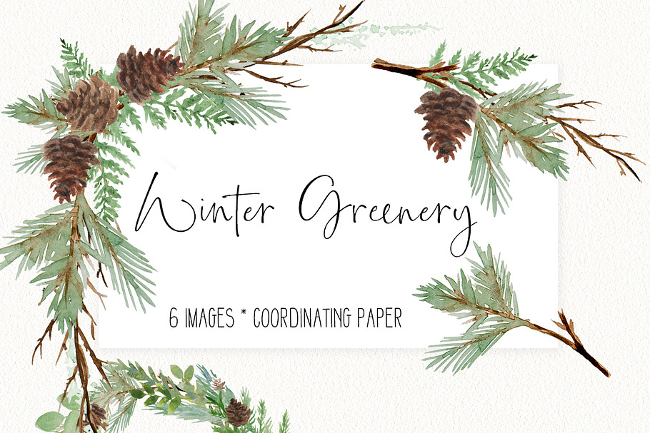 Winter Watercolor Greenery in Illustrations - product preview 8