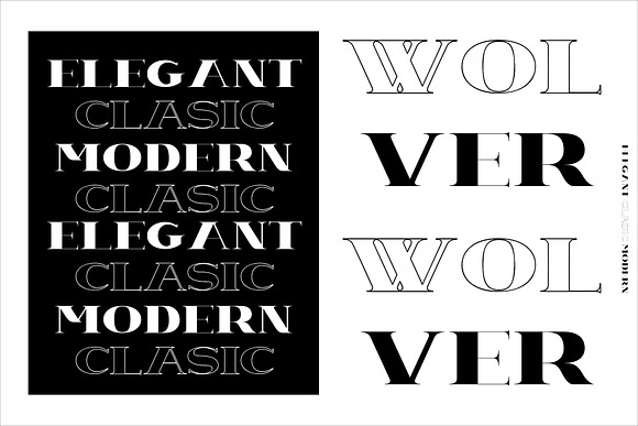 WOLVER in Serif Fonts - product preview 6