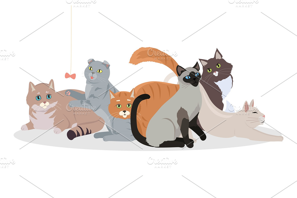 Cat Breeds Cute Pet Animal Set in Illustrations - product preview 8