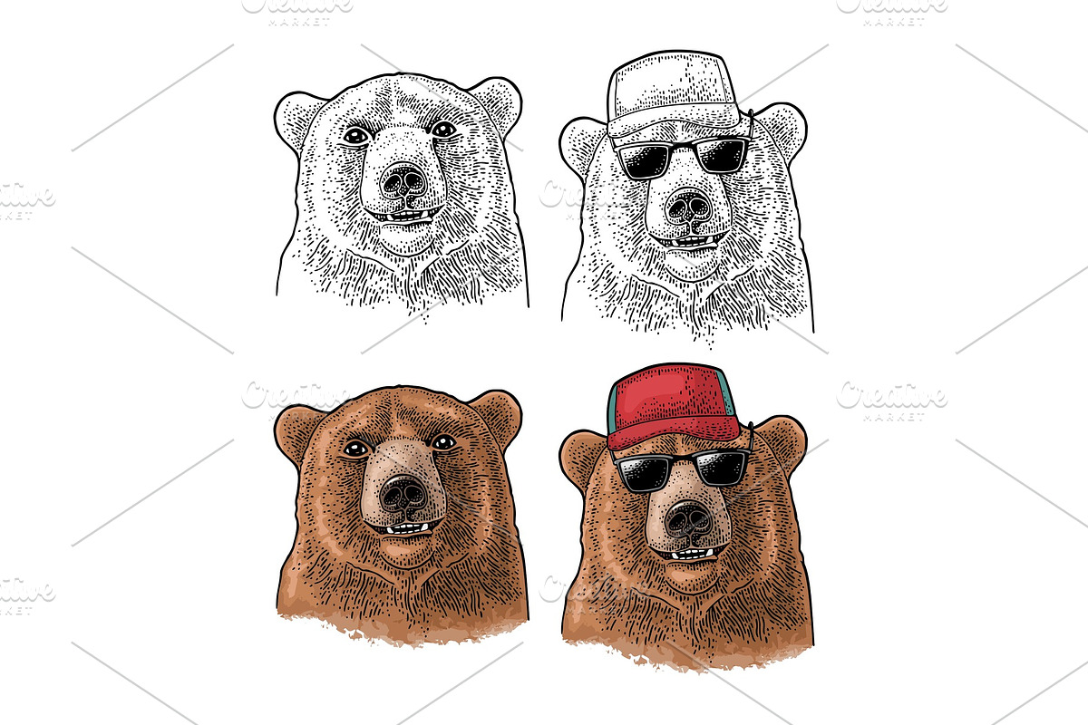 Bear head. Vintage color engraving in Illustrations - product preview 8