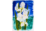 Flowers iris, drawing watercolors