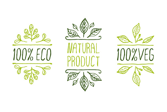 Natural Product Set- Hand-sketched in Illustrations - product preview 3