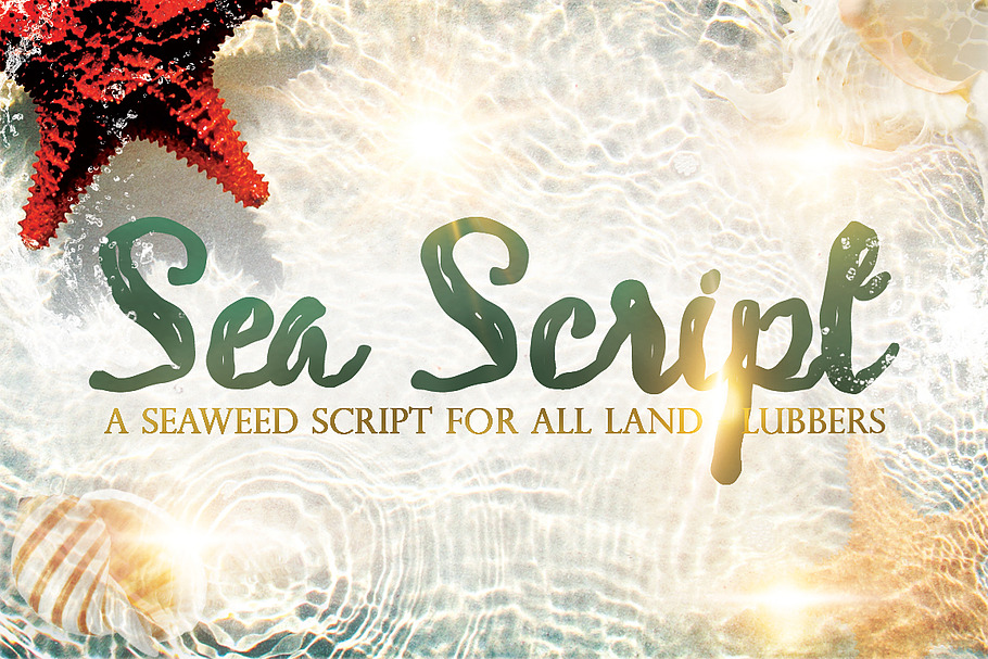 Seaweed Script in Script Fonts - product preview 8