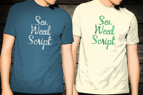 Seaweed Script in Script Fonts - product preview 5