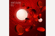 Blood Cells Background
