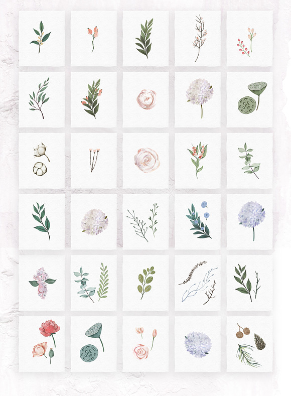 Gouache Dusty Flowers in Illustrations - product preview 9