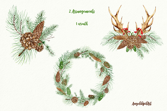 Conifers. Cones&Twigs watercolor in Illustrations - product preview 4