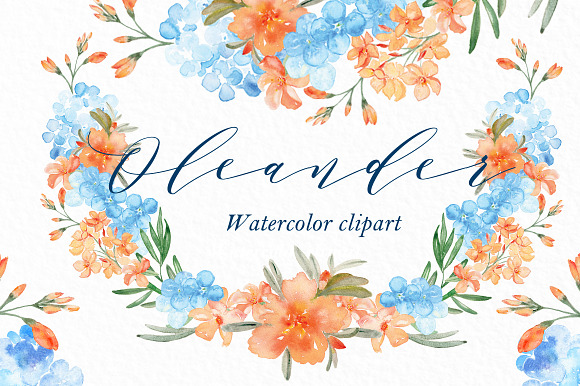 Blue Watercolor Flowers BUNDLE in Illustrations - product preview 10