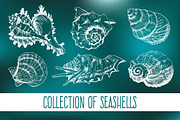 Hand drawn collection of 8 seashells