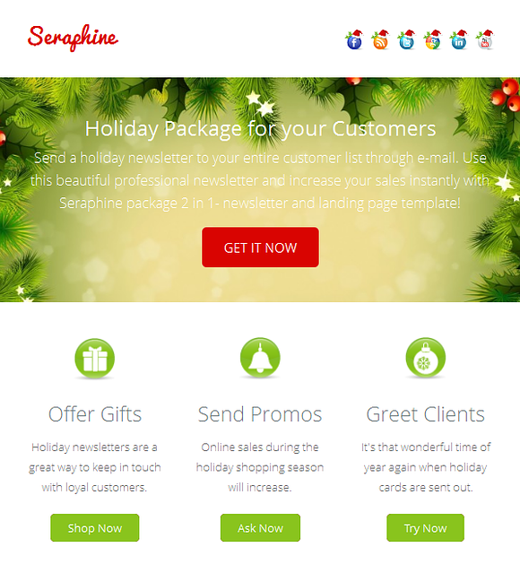 Seraphine- Landing Page & Newsletter in Bootstrap Themes - product preview 4