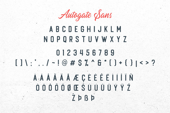 Autogate - Font Duo (+BONUS) in Script Fonts - product preview 11