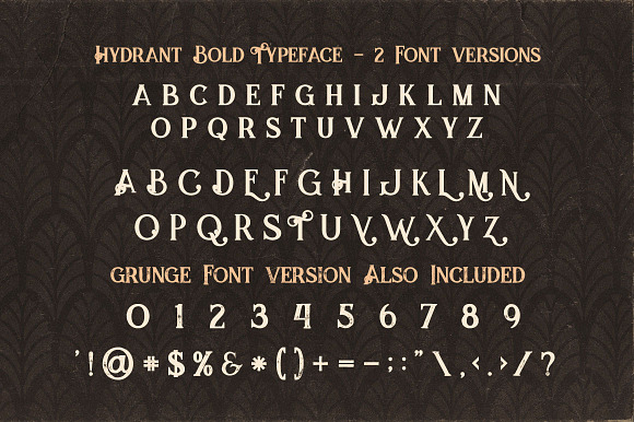 5 Fonts Bundle 4 in Display Fonts - product preview 9