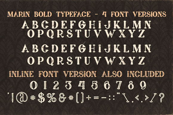 5 Fonts Bundle 4 in Display Fonts - product preview 12