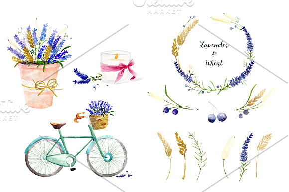 Lavender & Wheat Floral Elements in Illustrations - product preview 1