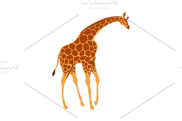 Stylized illustration of giraffe.