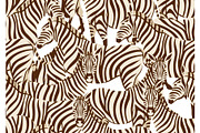 Seamless pattern with of zebras.