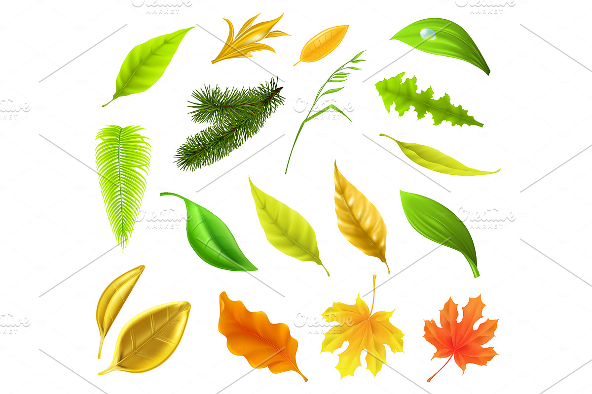 Colorful leaves collection in Illustrations - product preview 8