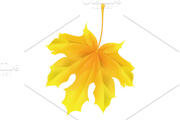 Colorful leaves collection in Illustrations - product preview 2