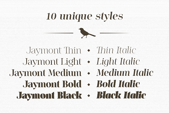 Jaymont - Ten style serif family in Serif Fonts - product preview 1