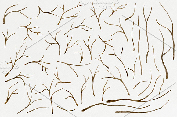 Tree branches. Watercolor DIY set in Illustrations - product preview 1