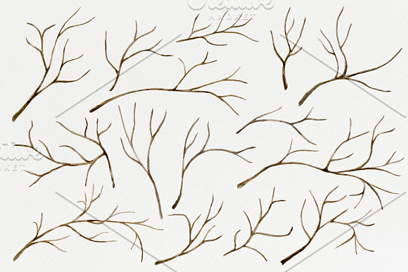Tree branches. Watercolor DIY set in Illustrations - product preview 2