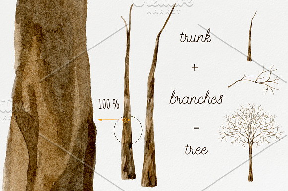 Tree branches. Watercolor DIY set in Illustrations - product preview 3