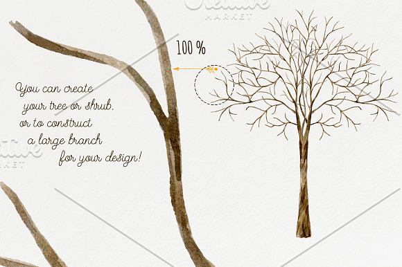 Tree branches. Watercolor DIY set in Illustrations - product preview 4