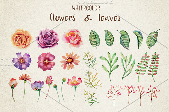 Watercolor Flower Vector Pack in Illustrations - product preview 2
