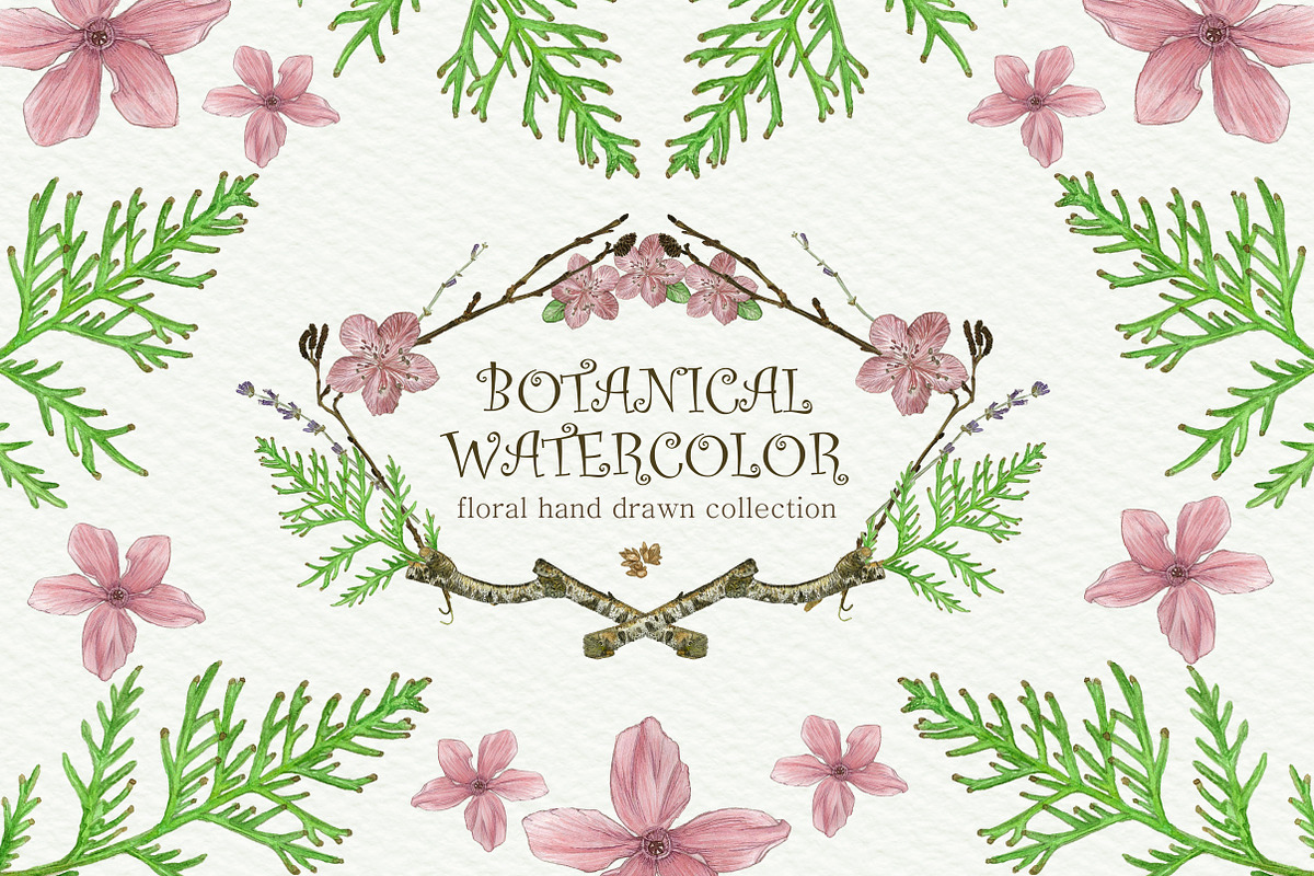 Botanical Watercolor in Illustrations - product preview 8
