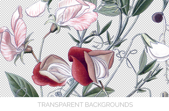 Vintage Floral Bundle Volume 10 (20) in Illustrations - product preview 1