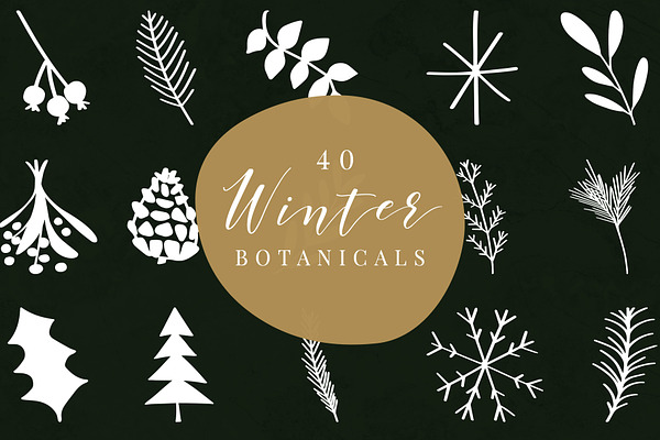 40 Winter Botanicals