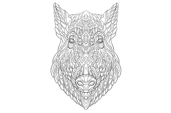 Ethnic Collection: Boar in Illustrations - product preview 4