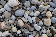 Marine stones texture