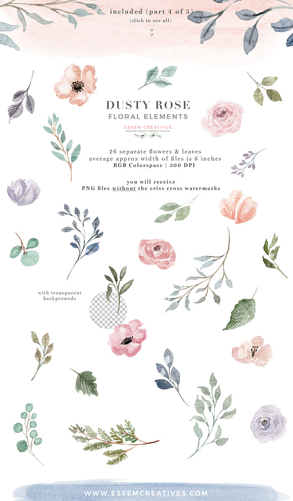 Dusty Rose Watercolor Flower Clipart in Illustrations - product preview 5