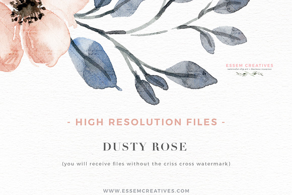 Dusty Rose Watercolor Flower Clipart in Illustrations - product preview 8